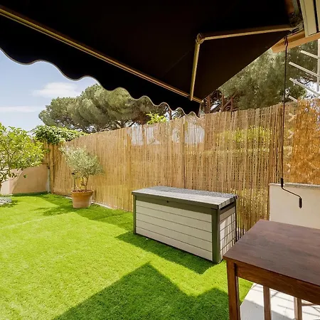 Lemon Tree In The Garden - Studio *